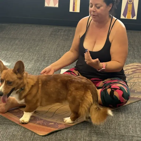 Puppy yoga class at K9 Rox Club Las Vegas